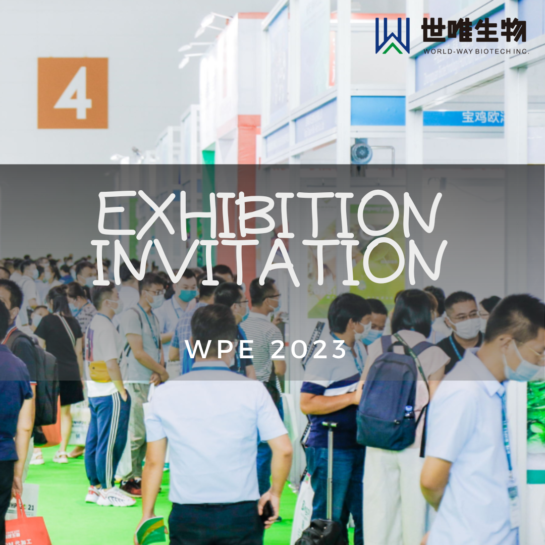 WPE 2023 exhibition invitation