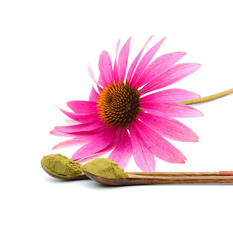 Can Echinacea stop cold?