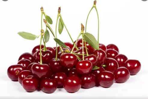 Tart Cherry Extract‘s function and cautions 