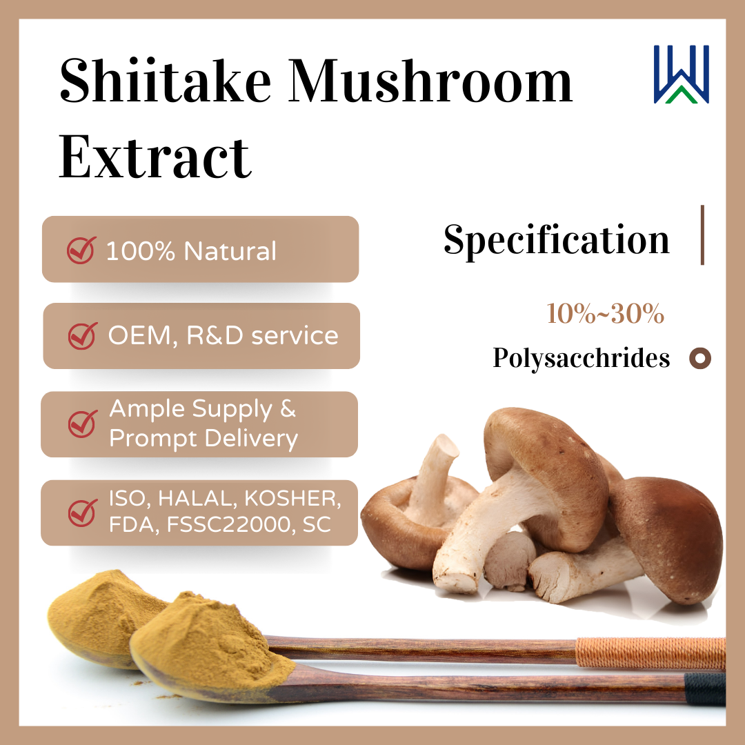 shiitake mushroom and it's uses 