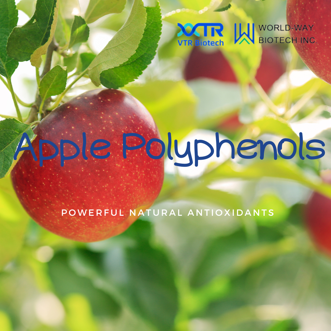 Apple Polyphenols - Powerful Natural Antioxidants