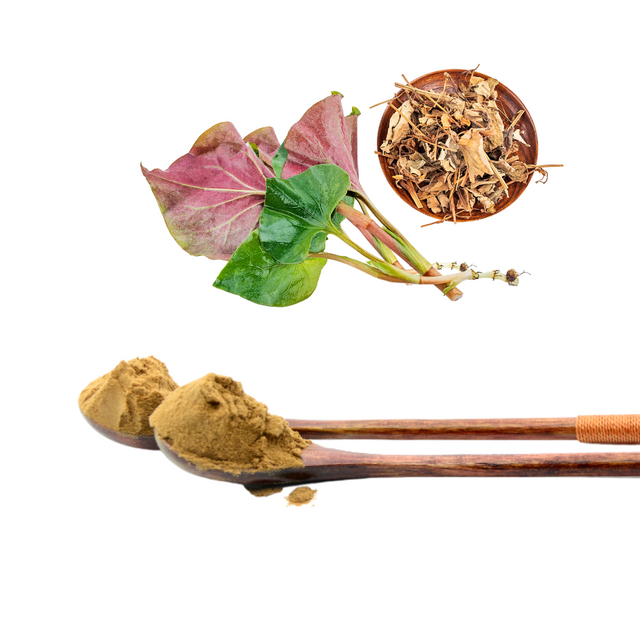 Houttuynia Cordata Extract