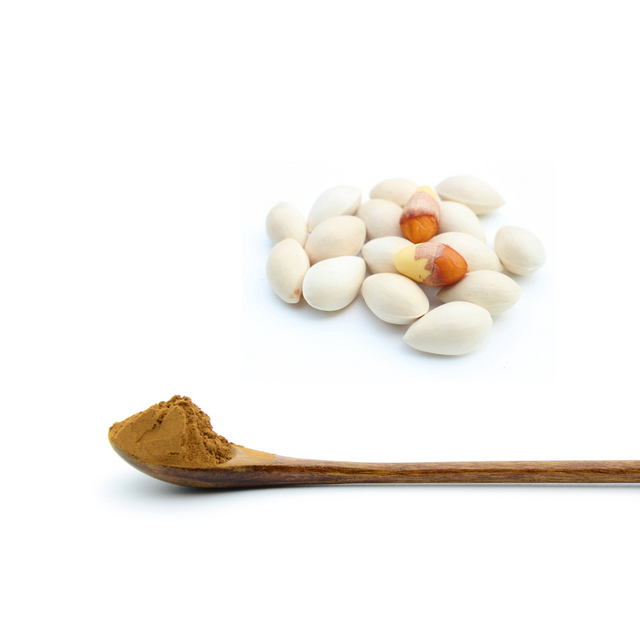 Ginkgo Seed Extract