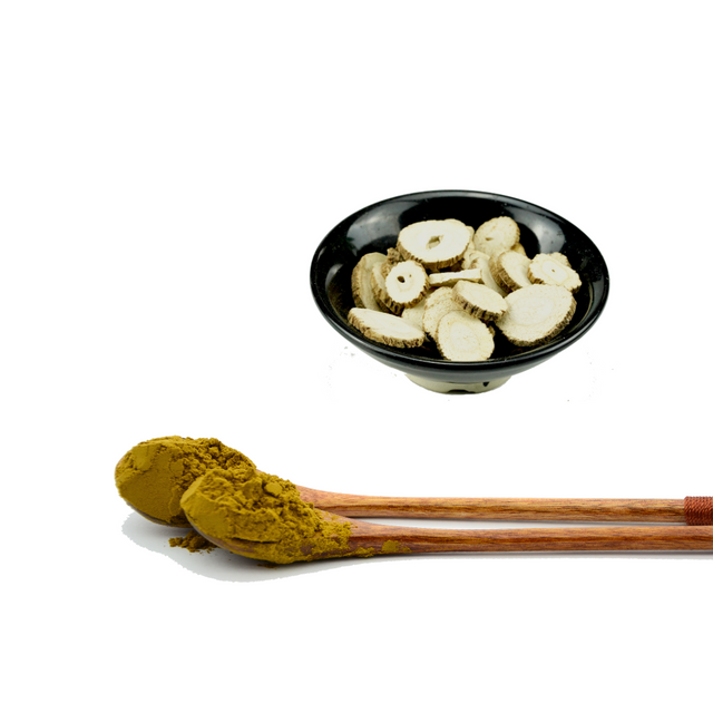 Angelica Dahurica Root Extract