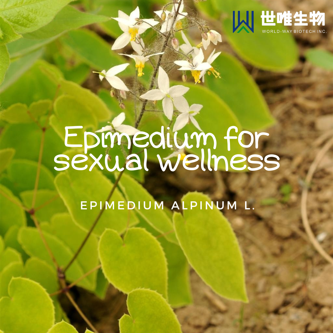 ​Epimedium for sexual wellness