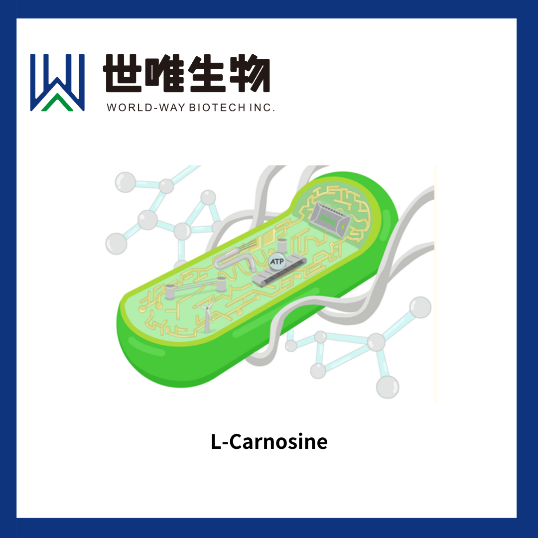 L-Carnosine