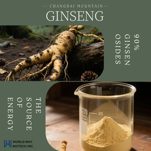 90% Ginsenosides (1).png