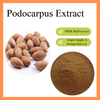 Podocarpus Extract