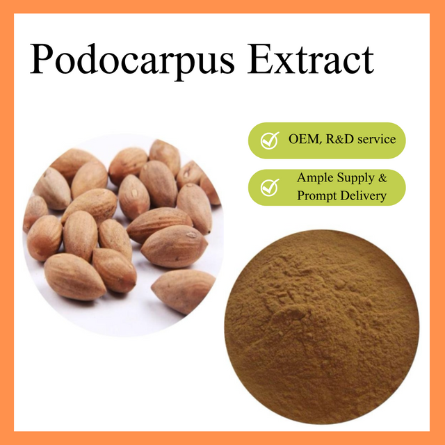 Podocarpus Extract