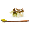 Sophora Japonica Extract
