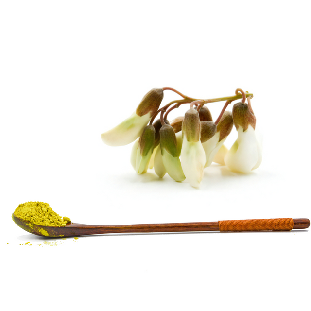Sophora Japonica Extract