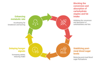 <h4><span style="font-size:36px;"><span style="font-family:Abril Fatface;">Sorpolix™: Mechanism&nbsp;</span></span></h4> <link href="https://fonts.googleapis.com/css?family=Abril Fatface" rel="stylesheet" type="text/css">