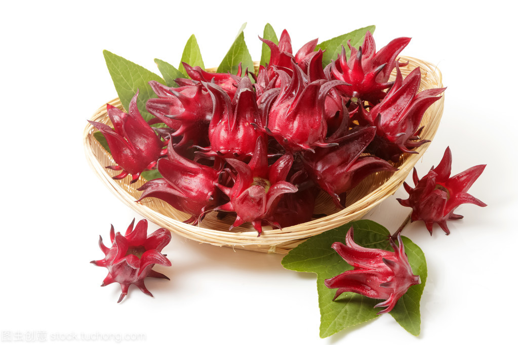 The Research Of Mainly Biological Activity Effects Of Hibiscus Extract
