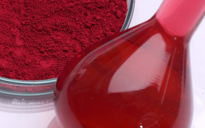 The initial report on the application of Hibiscus pigment as a red edible natural pigment 