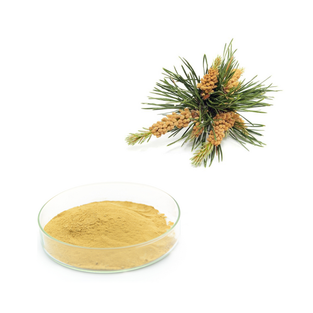 Pine Pollen Extract