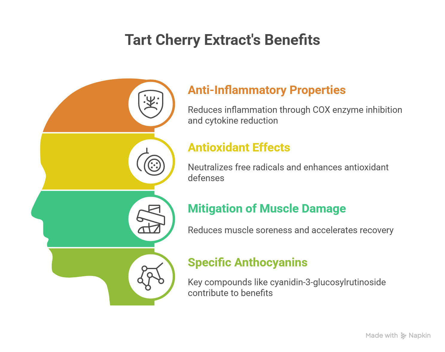 Tart Cherry Extract_ Mechanism of Action - visual selection