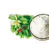 Magnolia Bark Extract Supplements 