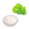 Gotu Kola Extract