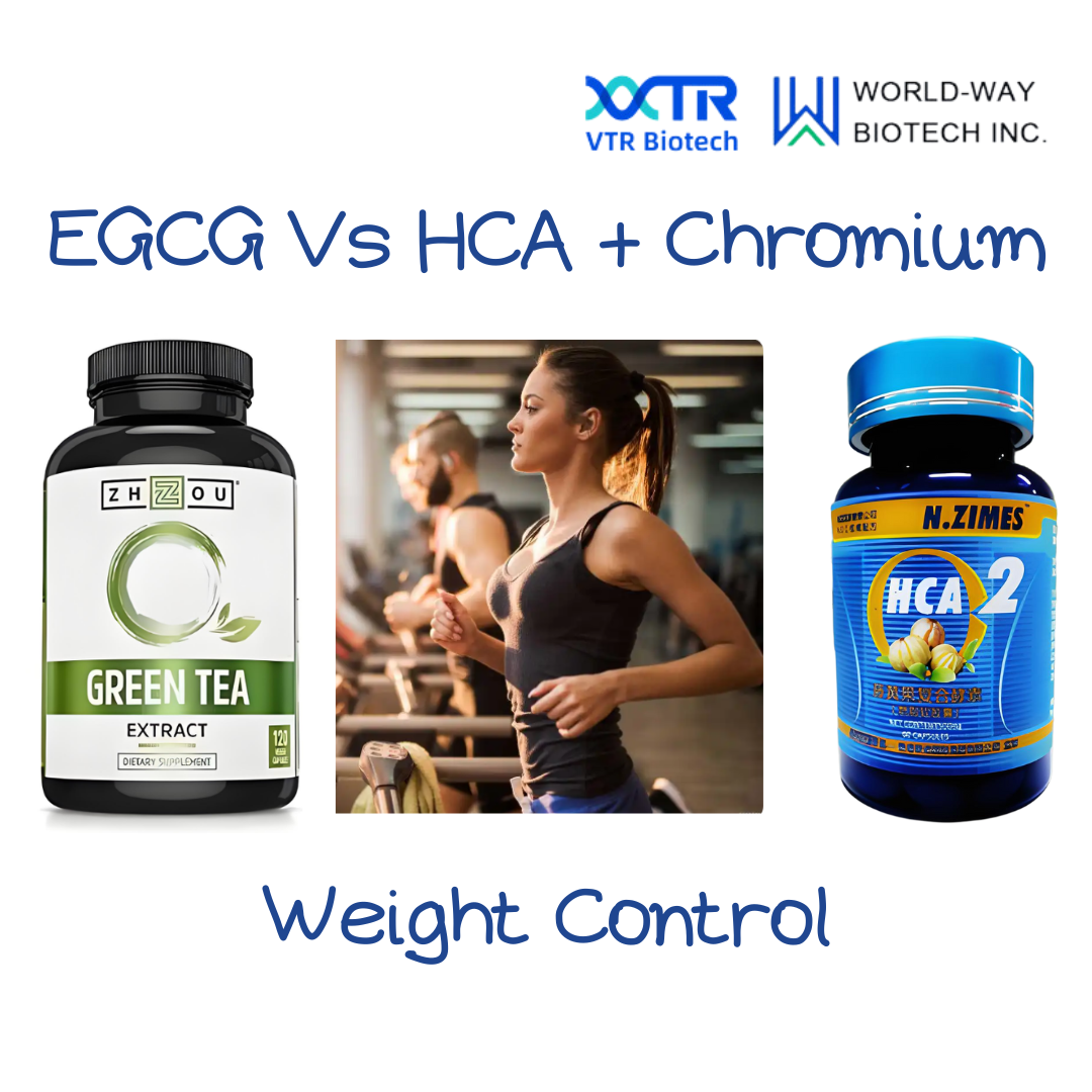 EGCG & HCA + Chromium: A Powerful Combination for Natural Weight Loss