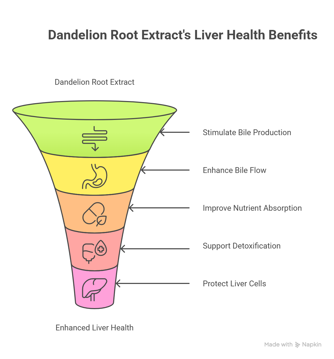 Dandelion Root Extract_ Mechanism of Action - visual selection