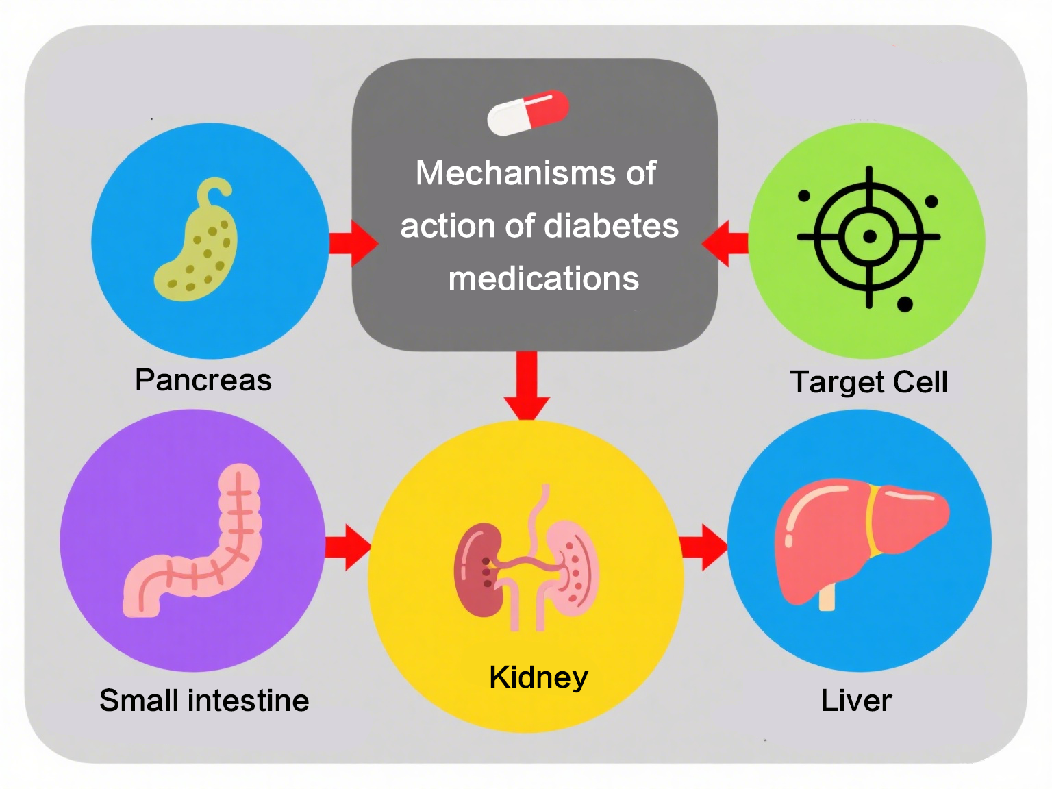 Mechanisms ofaction of diabetesmedications
