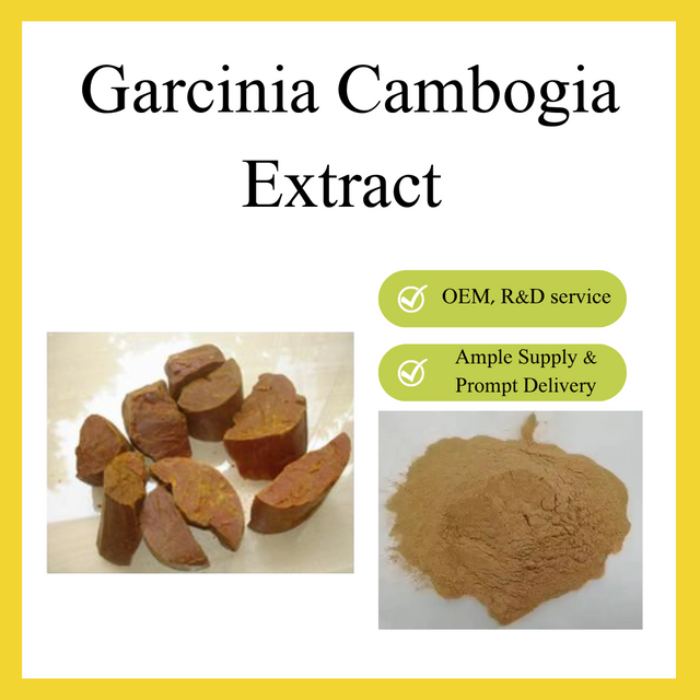 Garcinia Cambogia Extract