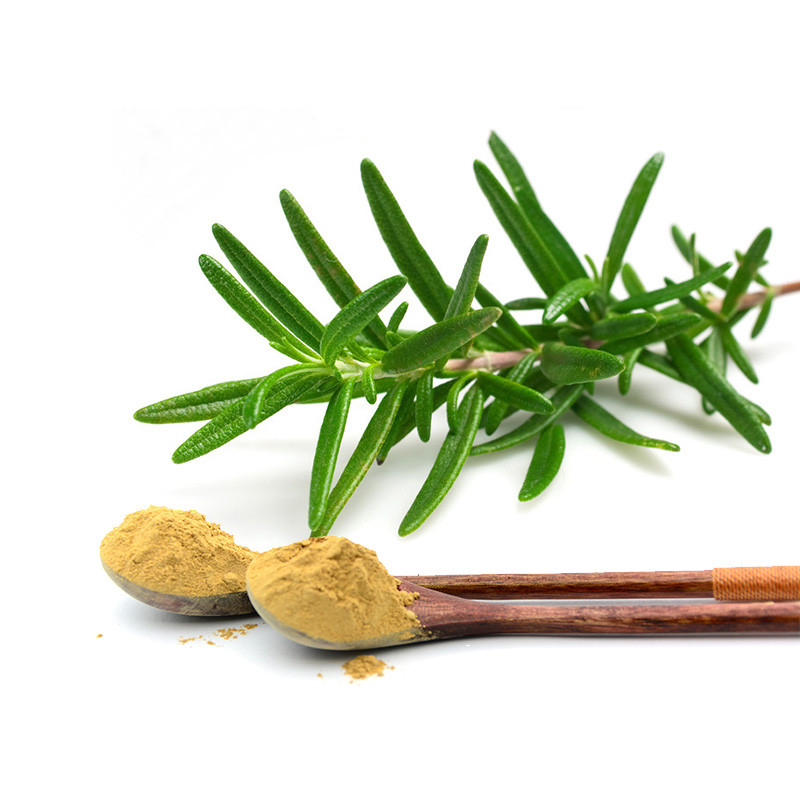 Three Main Pain Points for Rosemary Extract as an antioxidant in Food Applications 
