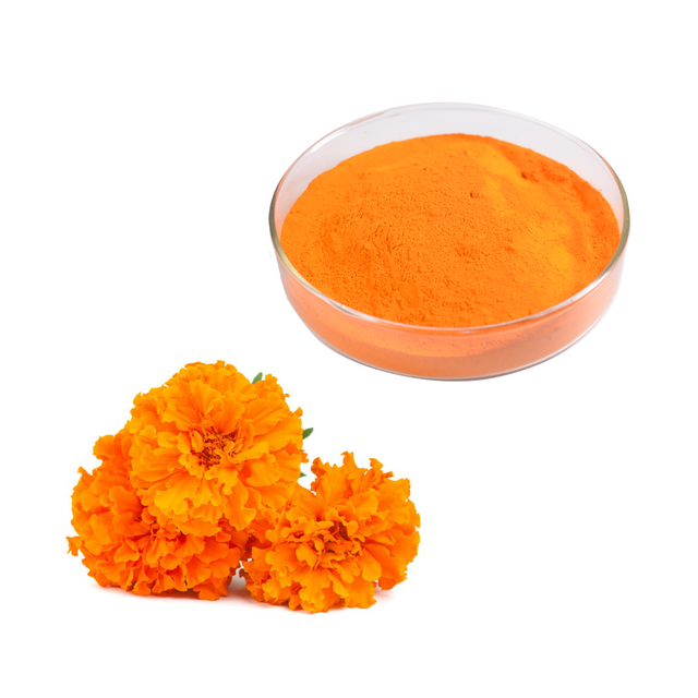 Marigold Flower Extract 