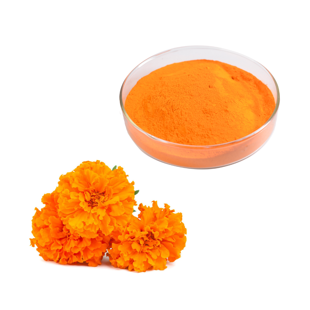 Marigold Flower Extract 