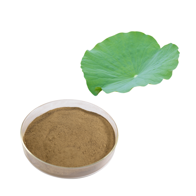 Lotus Leaf Extract