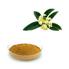 OSMANTHUS FRAGRANS FLOWER EXTRACT