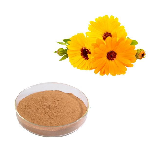 Calendula Officinalis Extract