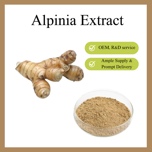 Alpinia Officinarum Extract