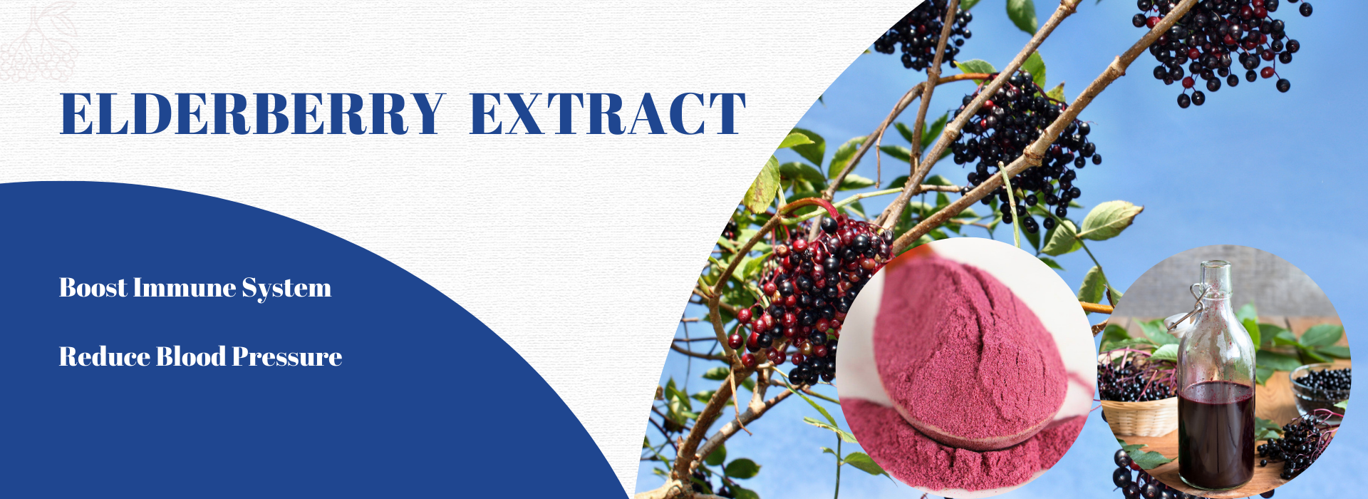 elderberry extract