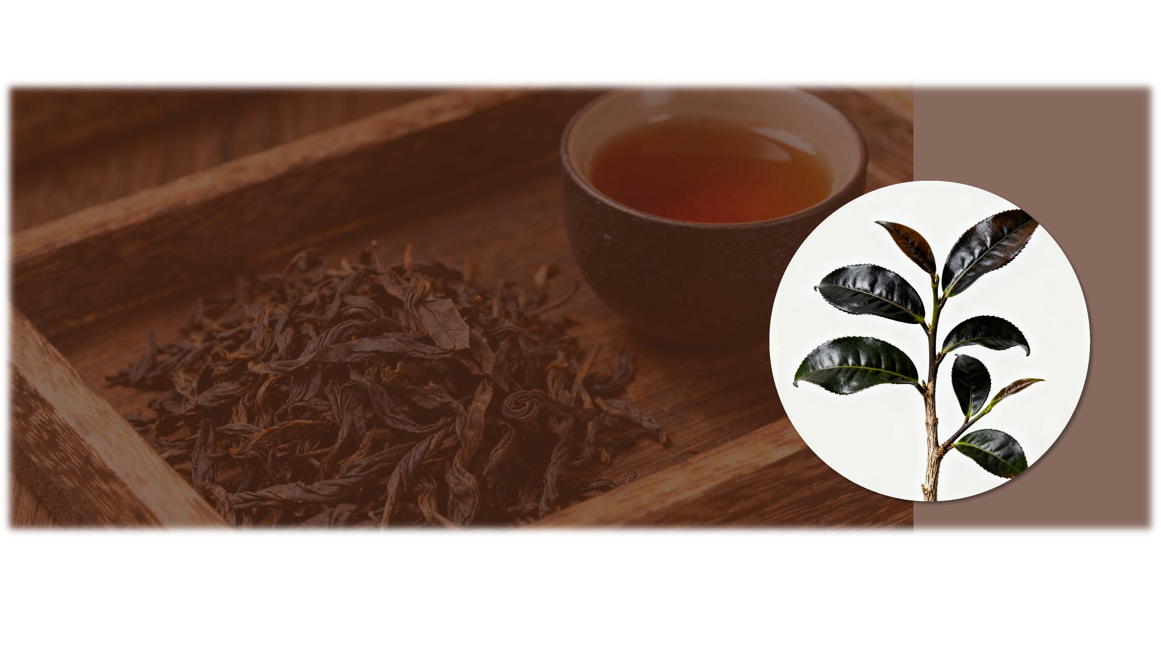  <h1><strong>Black Tea</strong></h1> 