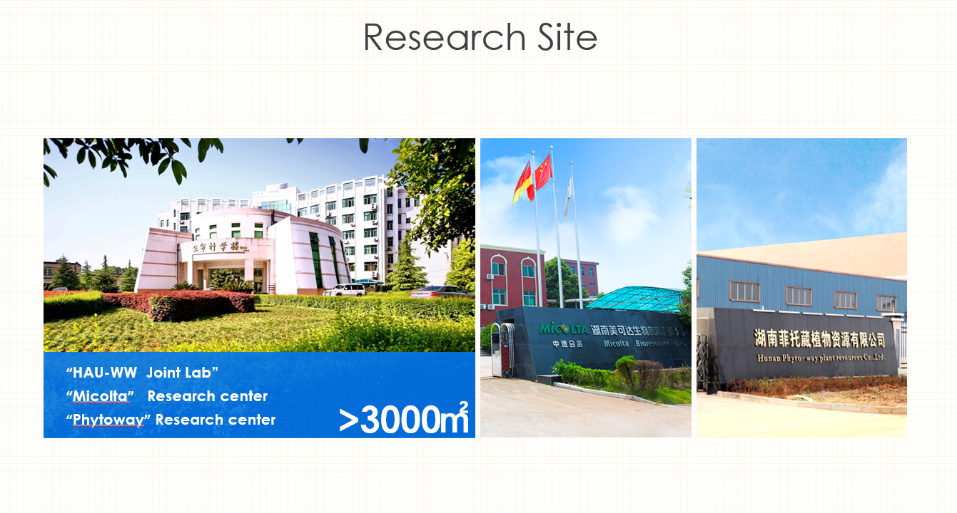 Research Site