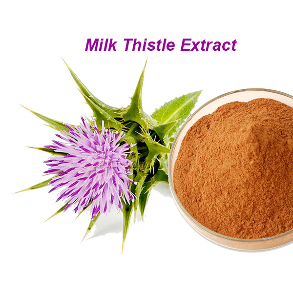 Milk Thistle Extarct