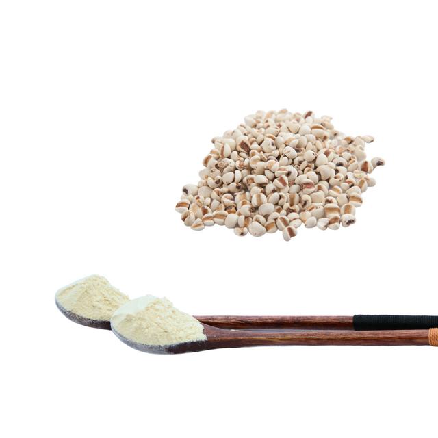 Coix Seed Extract