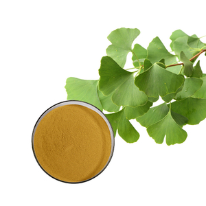 Ginkgo Biloba Extract.jpg
