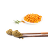  Sea buckthorn Extract