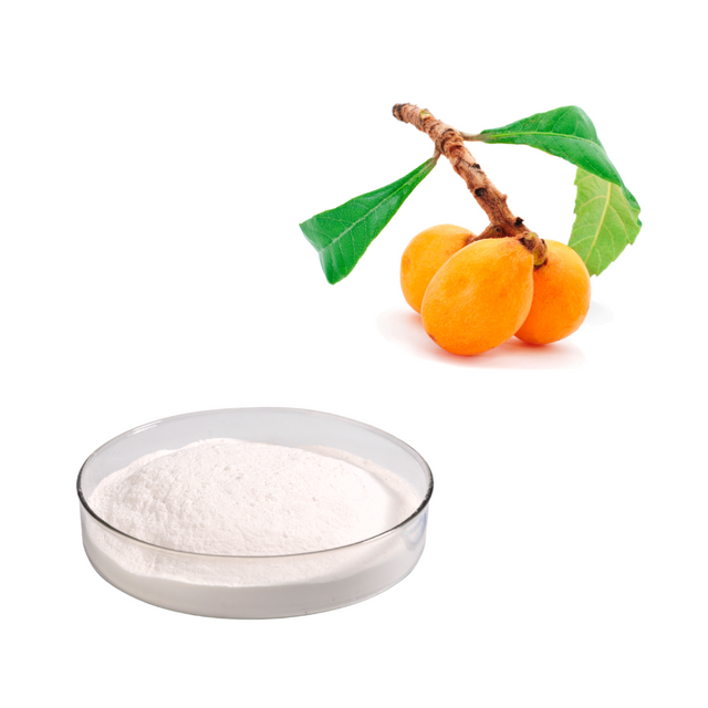  Loquat Leaf Extract