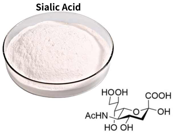 Sialic Acid