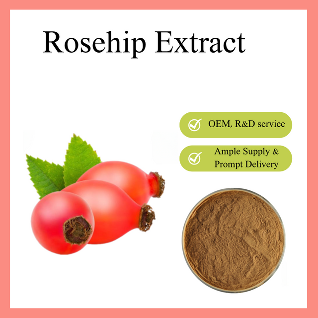 Rosehip Extract
