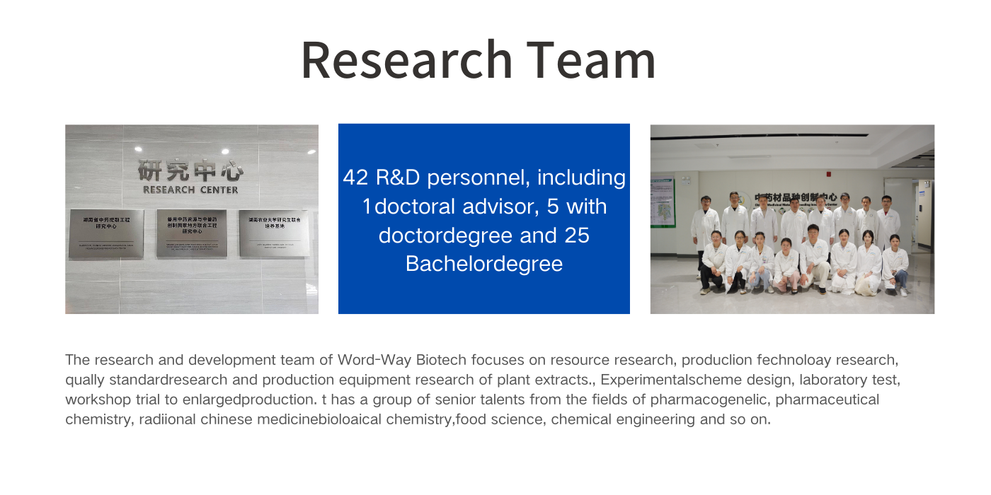 Research Team
