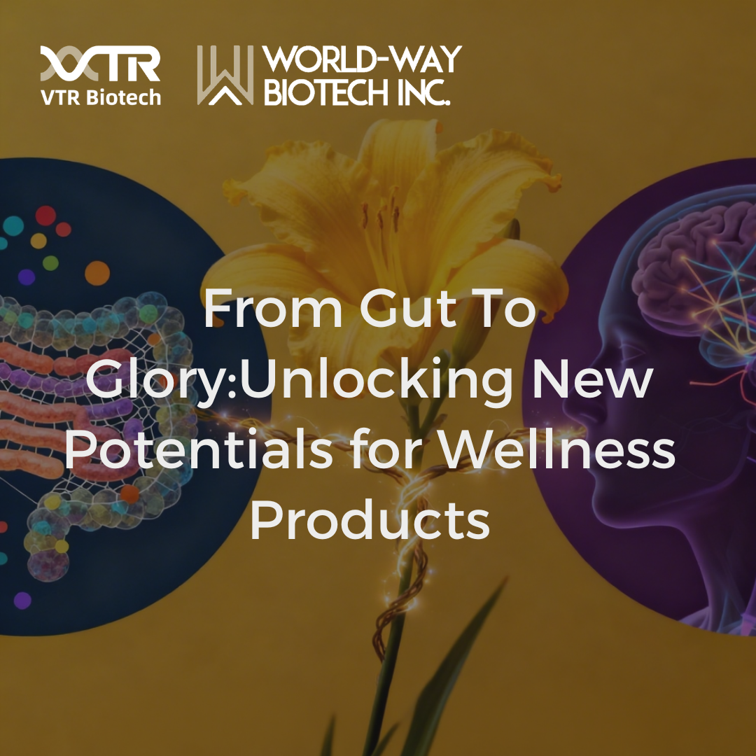 From Gut To Glory:Unlocking New Potentials for Wellness Products