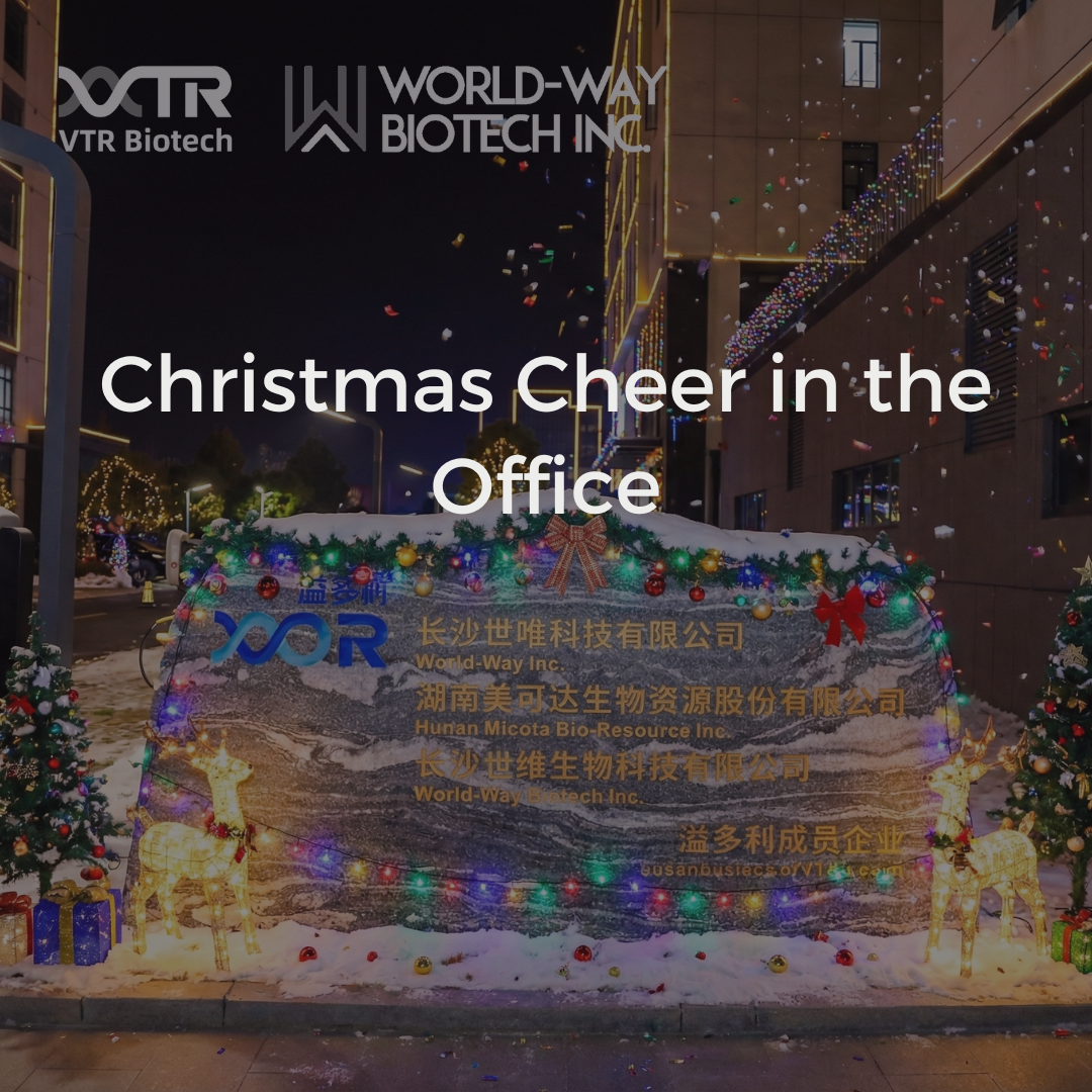 Christmas Cheer in the Office: Our "Paper Cup Christmas Tree" Team Bonding Was Pure Magic