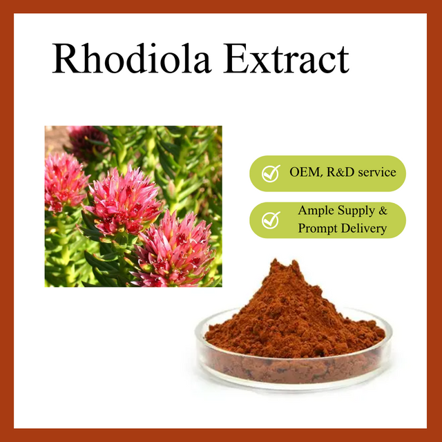 Rhodiola Extract