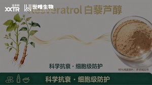 银杏.png