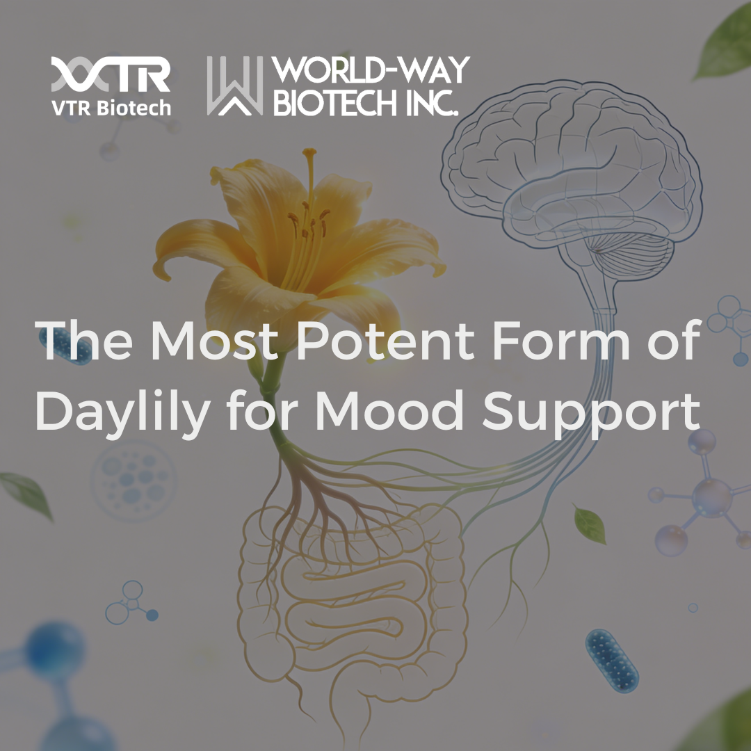 The Most Potent Form of Daylily for Mood Support