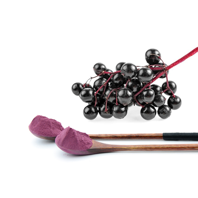 Black Elderberry Extract 